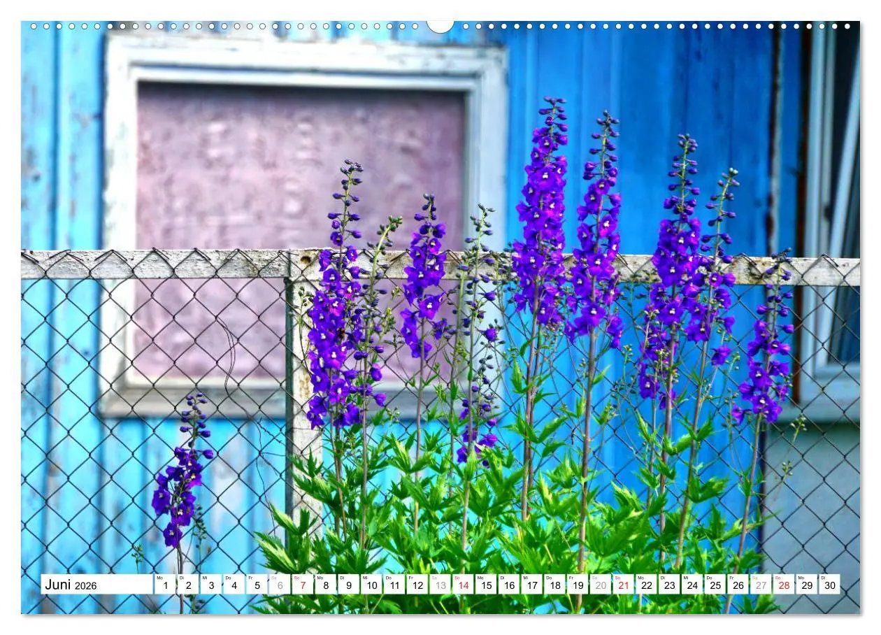 Bild: 9783457777268 | Groß Rominten - Das Tor zur Rominter Heide (Wandkalender 2026 DIN...