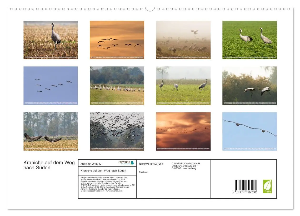 Bild: 9783516007268 | Kraniche auf dem Weg nach Süden (hochwertiger Premium Wandkalender...