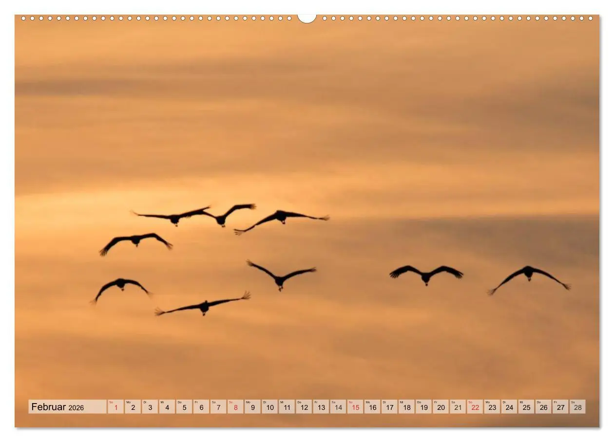 Bild: 9783516007268 | Kraniche auf dem Weg nach Süden (hochwertiger Premium Wandkalender...