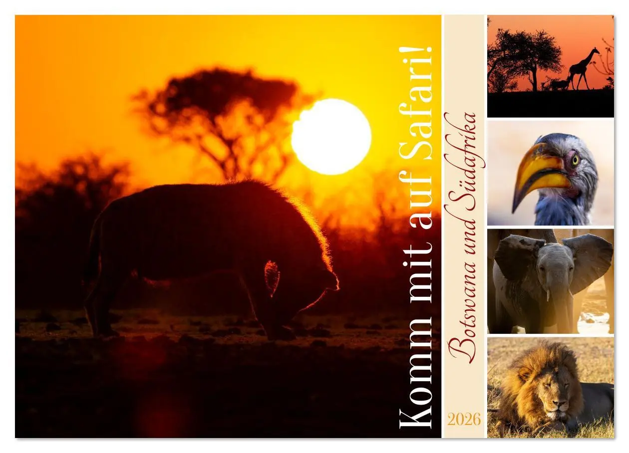 Cover: 9783516627268 | Komm mit auf Safari! Botswana und Südafrika (Wandkalender 2026 DIN...