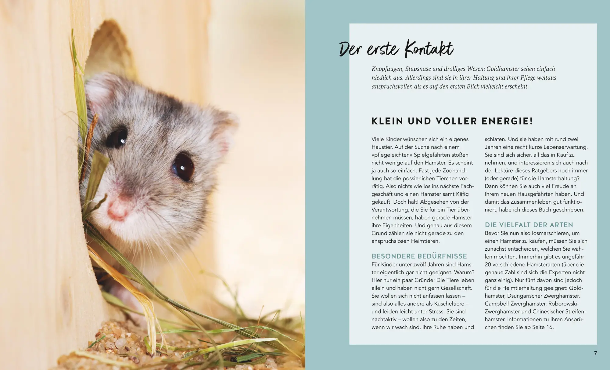 Bild: 9783833897368 | Hamster | So fühlen sie sich rundum wohl | Peter Fritzsche | Buch