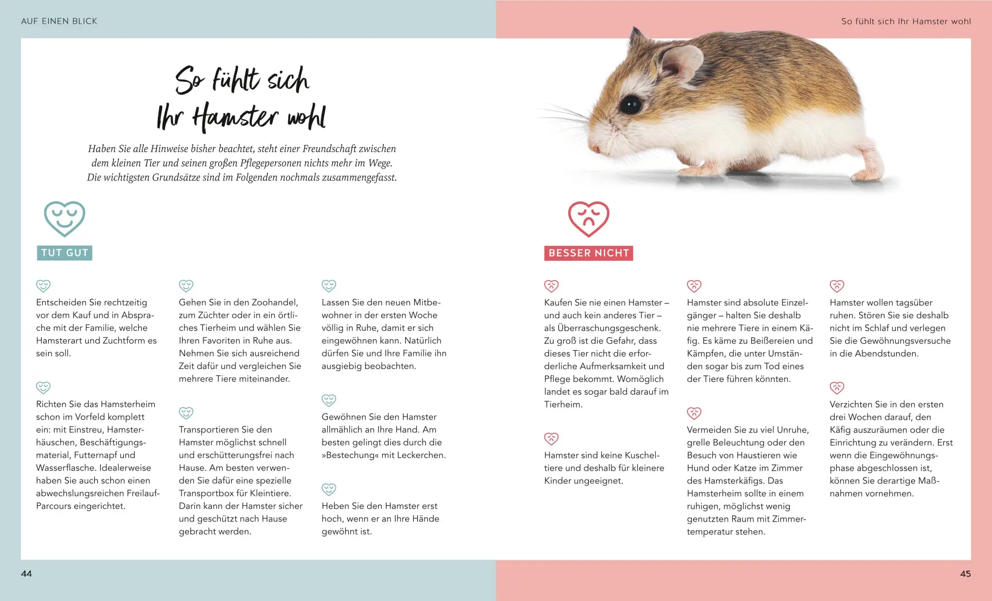 Bild: 9783833897368 | Hamster | So fühlen sie sich rundum wohl | Peter Fritzsche | Buch