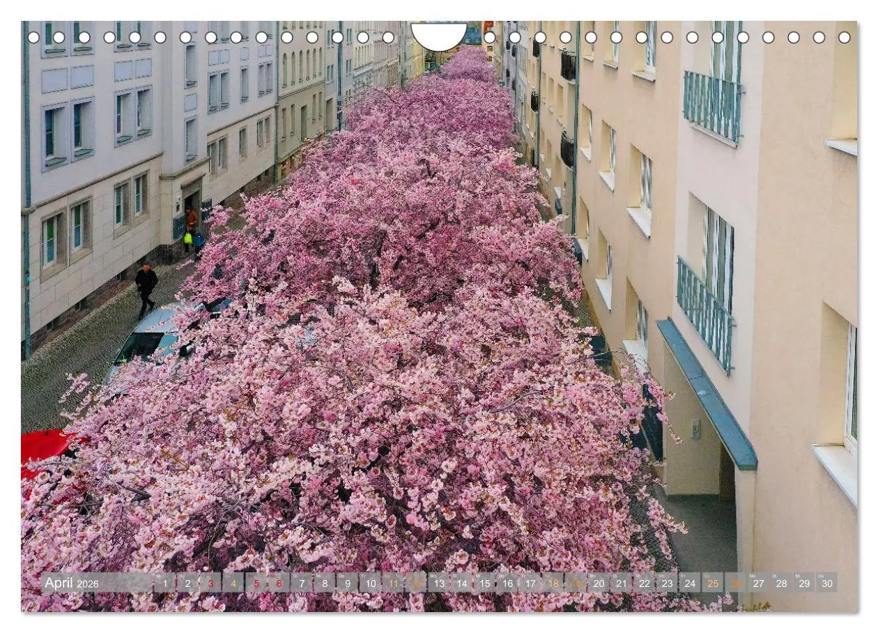Bild: 9783457377468 | HALLE SAALE GEDROHNT 2026 (Wandkalender 2026 DIN A4 quer), CALVENDO...