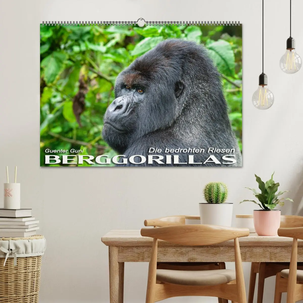 Bild: 9783457687468 | Berggorillas: die bedrohten Riesen (Wandkalender 2026 DIN A2 quer),...