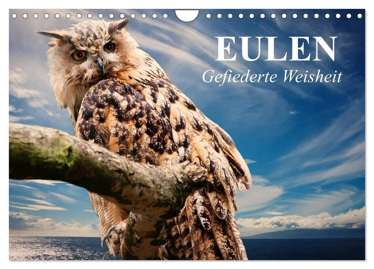 Cover: 9783457997468 | Eulen. Gefiederte Weisheit (Wandkalender 2026 DIN A4 quer),...