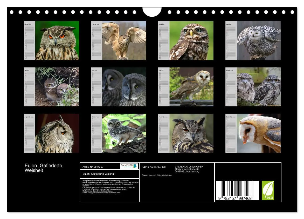 Bild: 9783457997468 | Eulen. Gefiederte Weisheit (Wandkalender 2026 DIN A4 quer),...