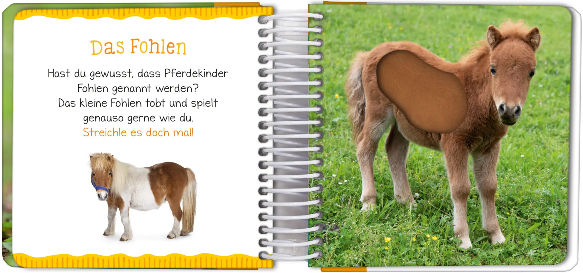 Bild: 9783845837468 | Mein großes Streichelbuch - Bauernhof | Buch | Spiralbindung | 14 S.