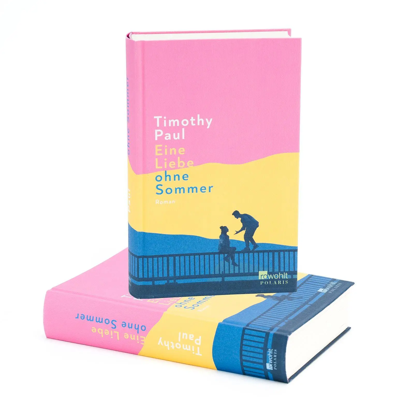 Bild: 9783499017568 | Eine Liebe ohne Sommer | Eine Liebesgeschichte wie keine andere | Paul