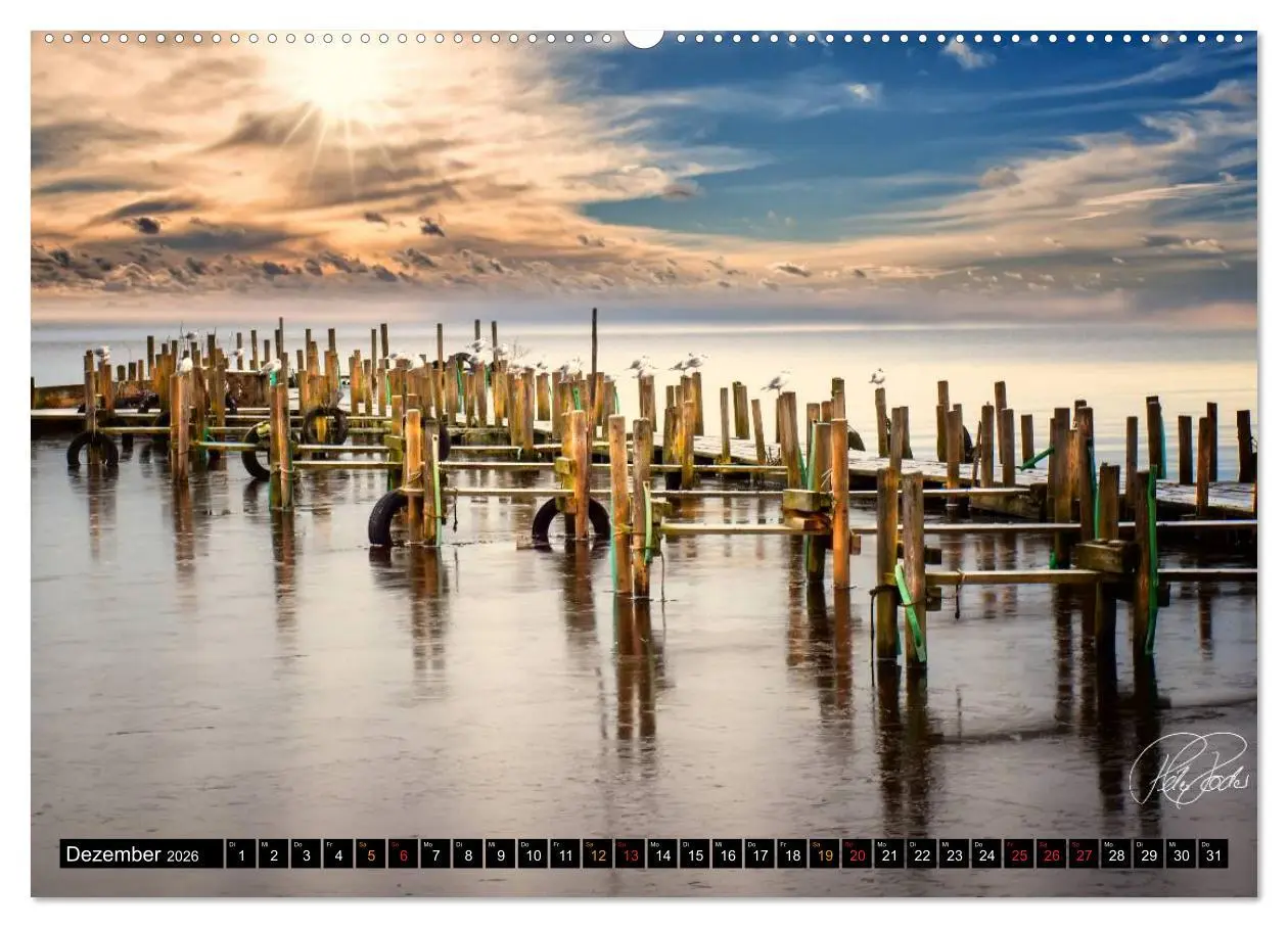 Bild: 9783516147568 | Am Zwischenahner Meer (Wandkalender 2026 DIN A2 quer), CALVENDO...