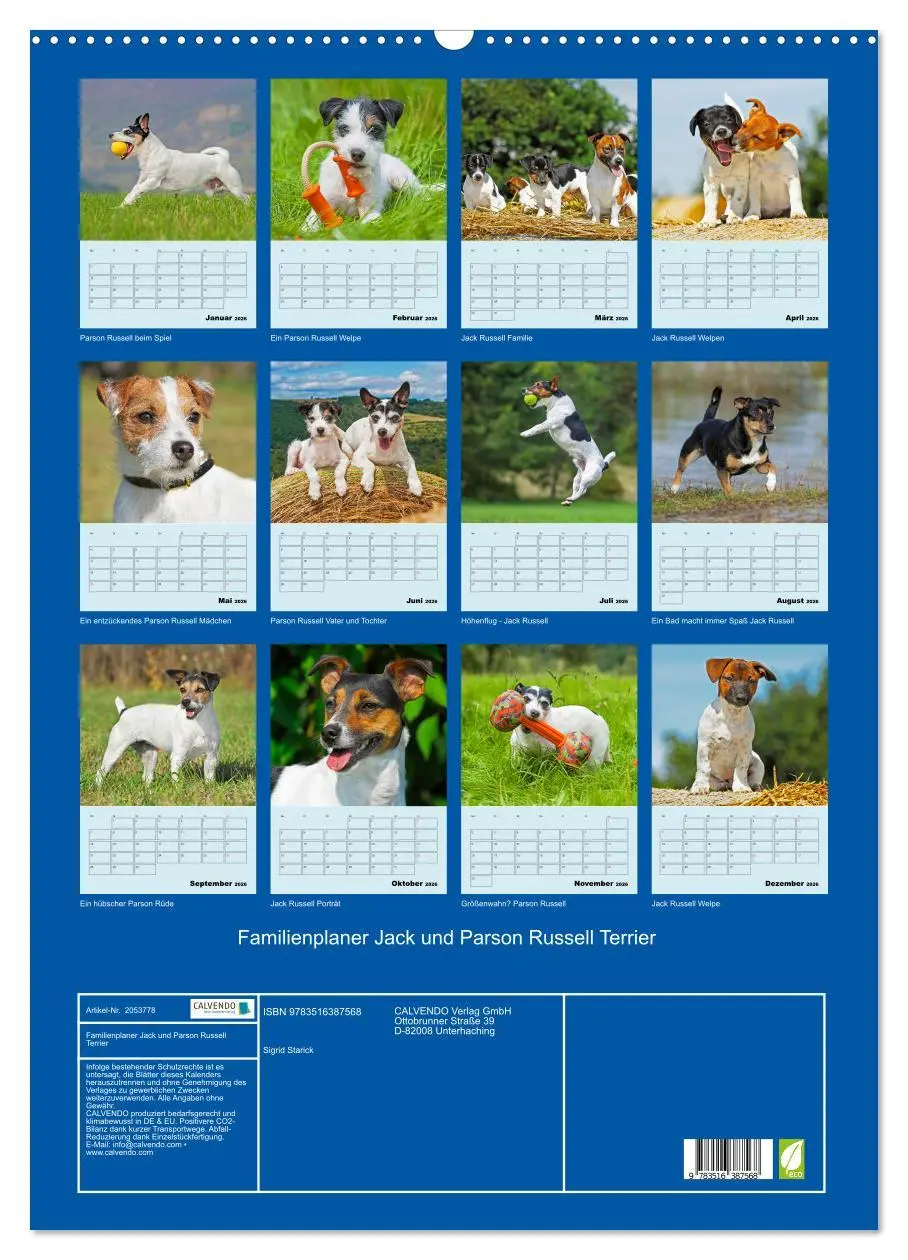 Bild: 9783516387568 | Familienplaner Jack und Parson Russell Terrier (Wandkalender 2026...