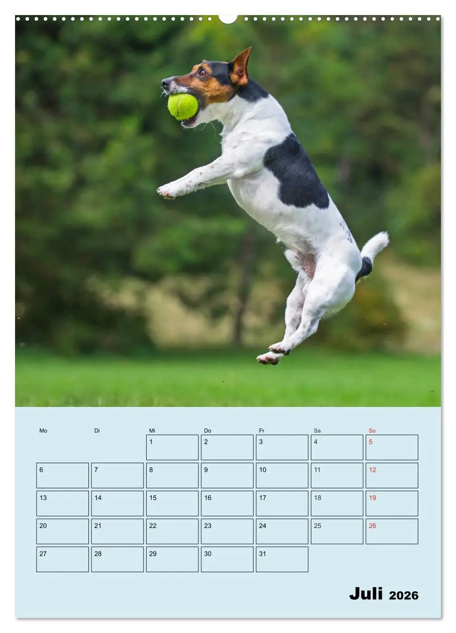 Bild: 9783516387568 | Familienplaner Jack und Parson Russell Terrier (Wandkalender 2026...