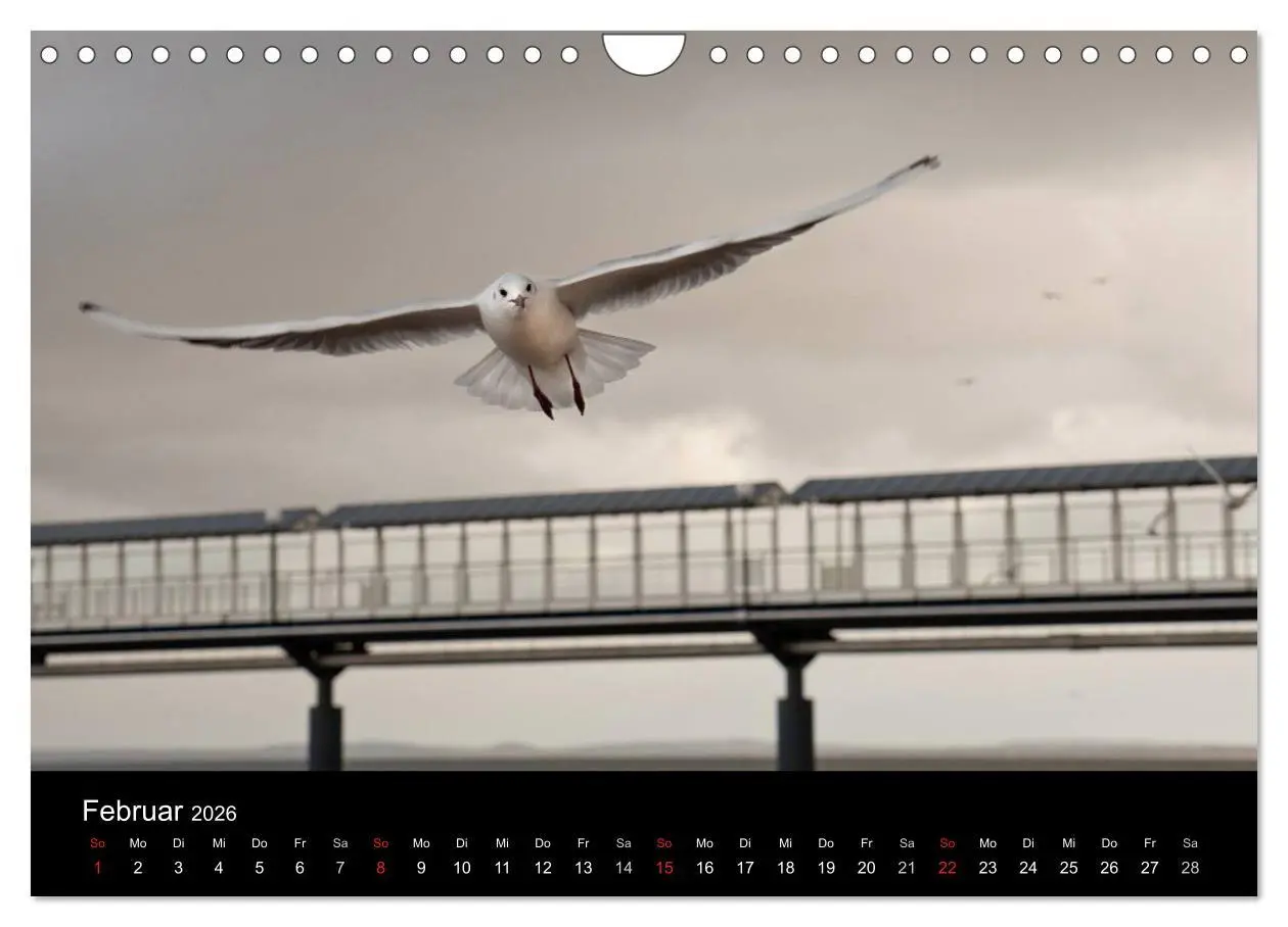 Bild: 9783457287668 | Usedom 2026 Rendezvous zwischen Ahlbeck und Heringsdorf...