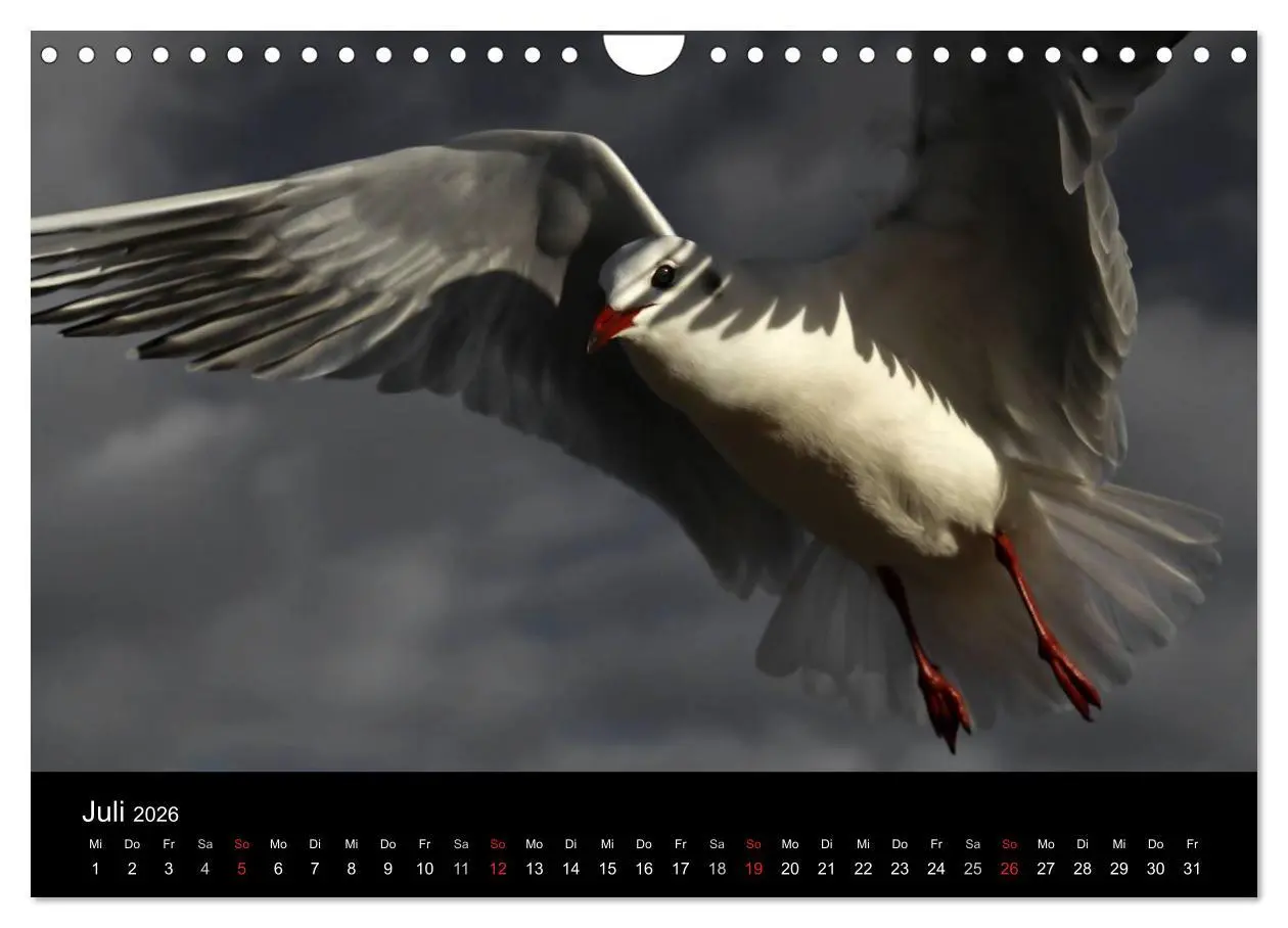 Bild: 9783457287668 | Usedom 2026 Rendezvous zwischen Ahlbeck und Heringsdorf...