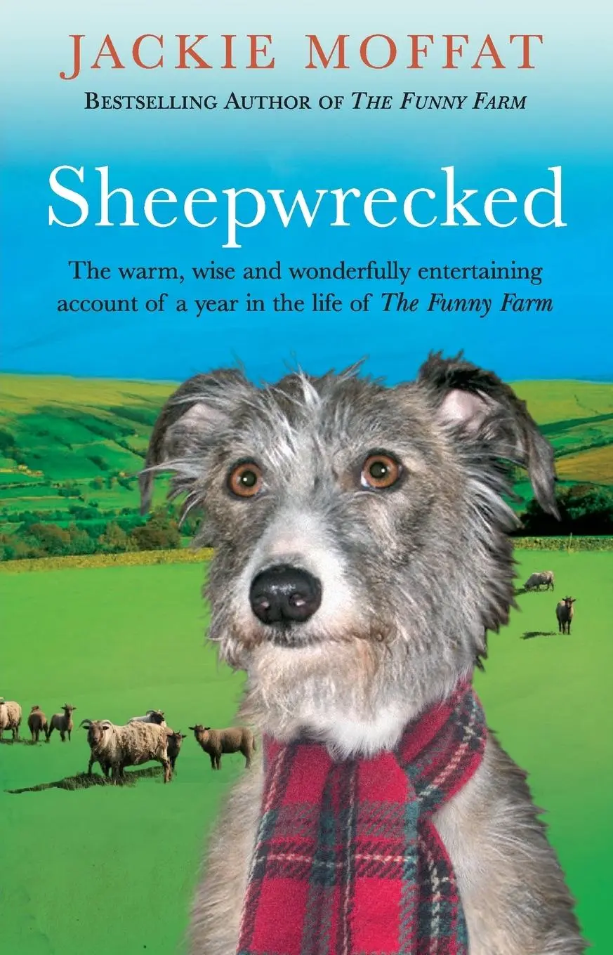 Cover: 9780553817768 | Sheepwrecked | Jackie Ellis | Taschenbuch | Englisch | 2007 | Bantam