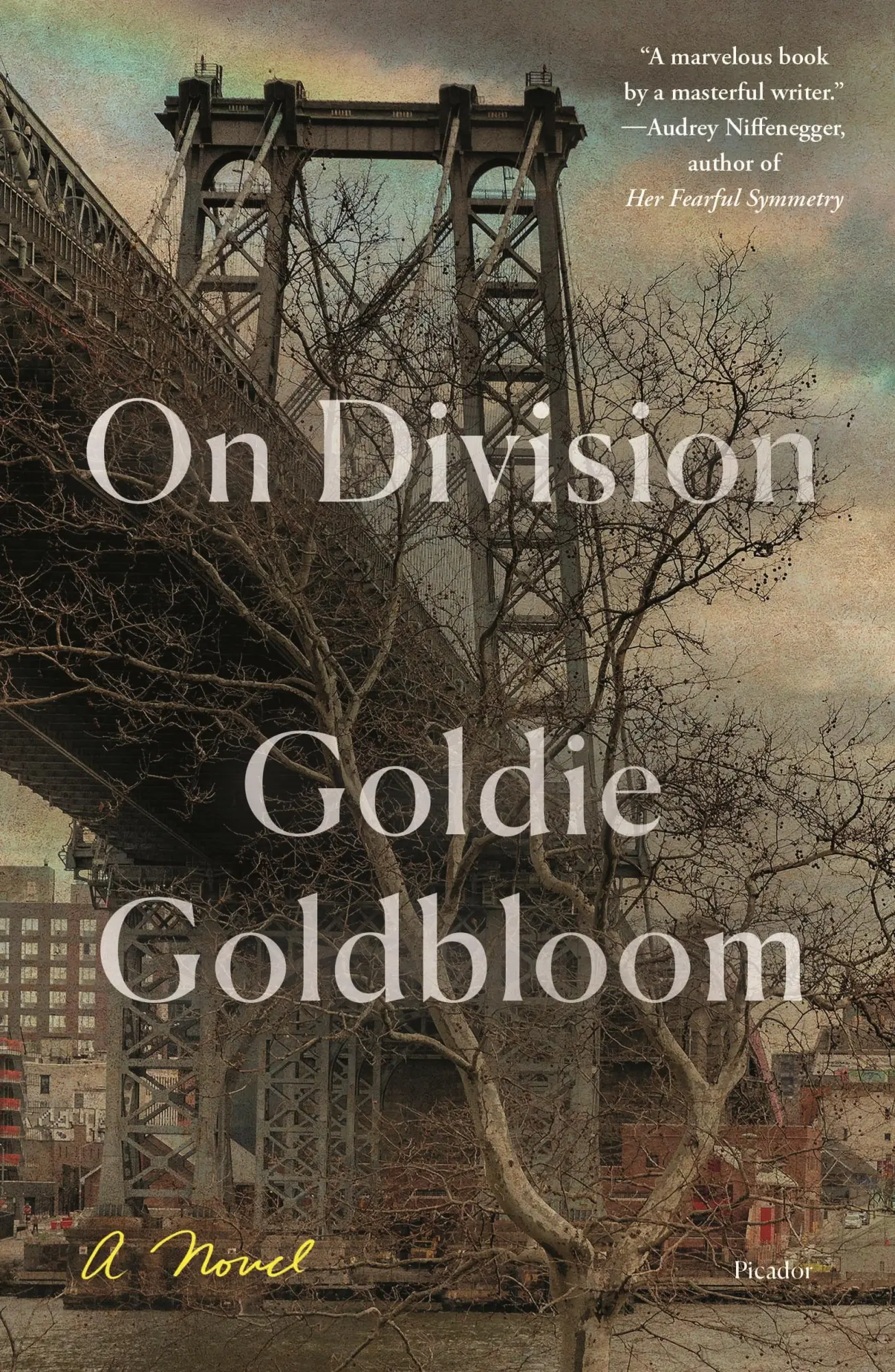 Cover: 9781250757968 | On Division | Goldie Goldbloom | Taschenbuch | 288 S. | Englisch