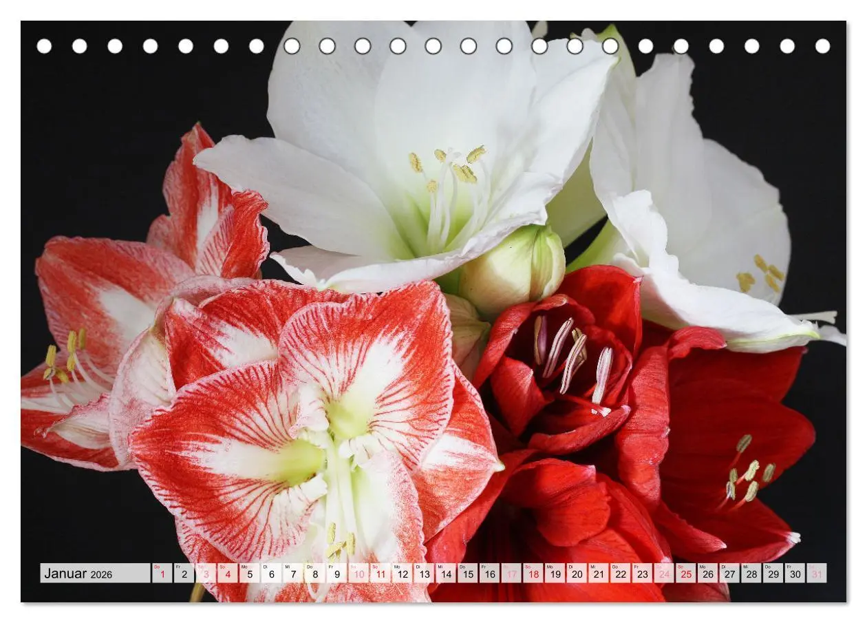 Bild: 9783457257968 | Blumen - Eine bunte Mischung (Tischkalender 2026 DIN A5 quer),...