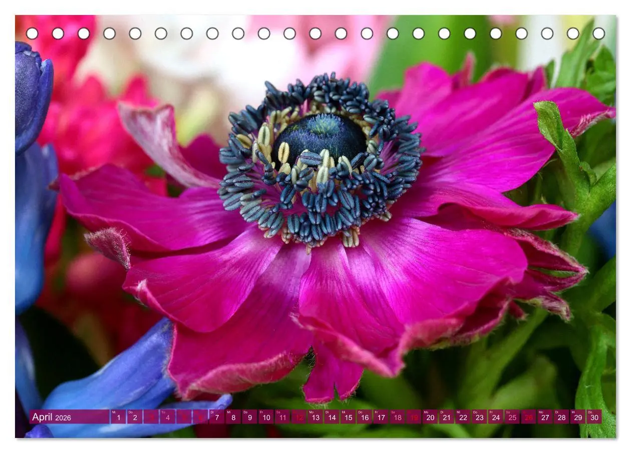 Bild: 9783457257968 | Blumen - Eine bunte Mischung (Tischkalender 2026 DIN A5 quer),...
