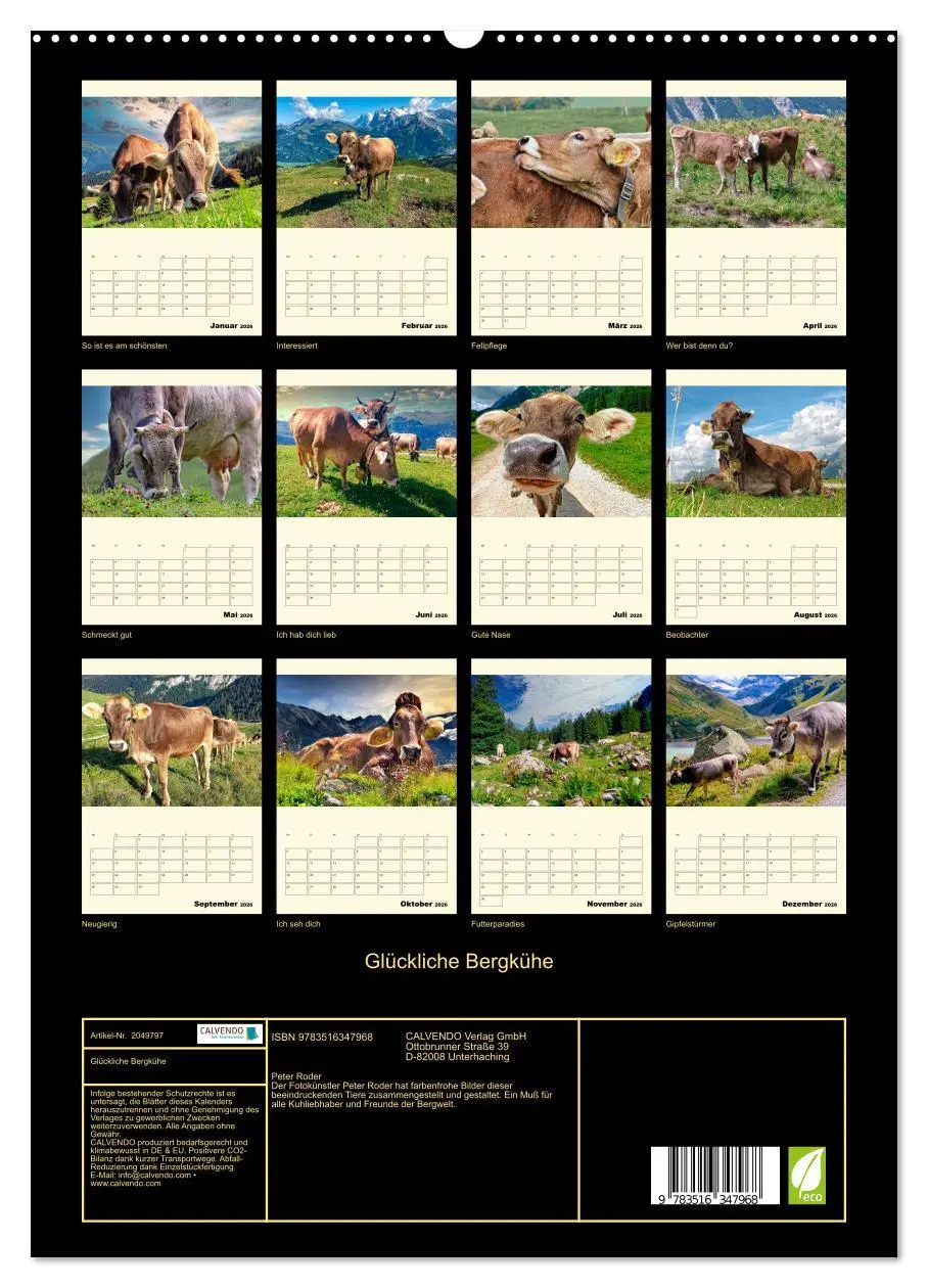 Bild: 9783516347968 | Glückliche Bergkühe (hochwertiger Premium Wandkalender 2026 DIN A2...