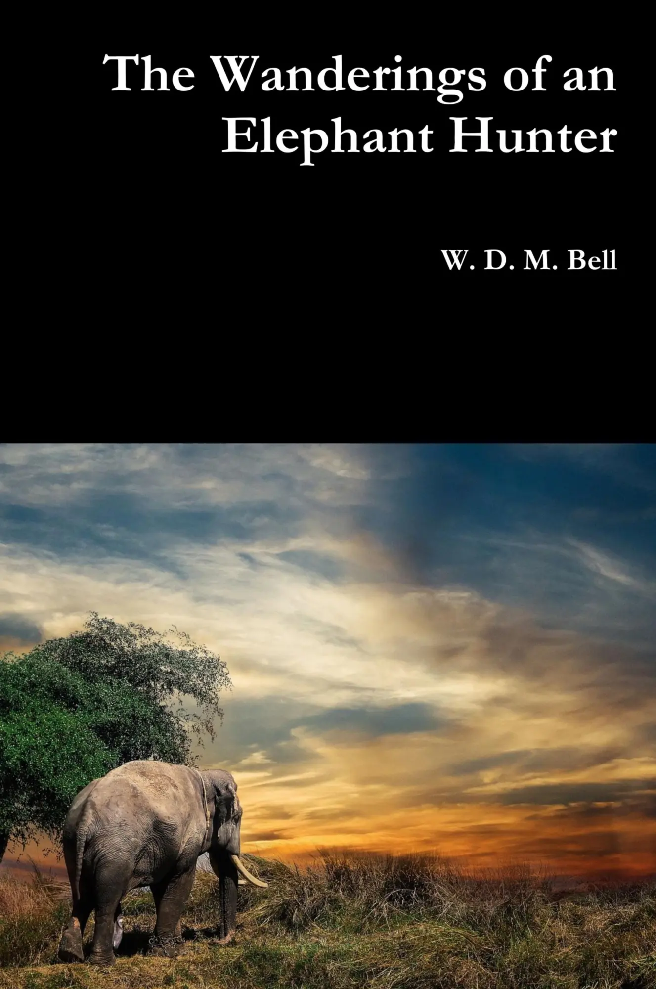Cover: 9780359128068 | The Wanderings of an Elephant Hunter | W. D. M. Bell | Buch | Gebunden