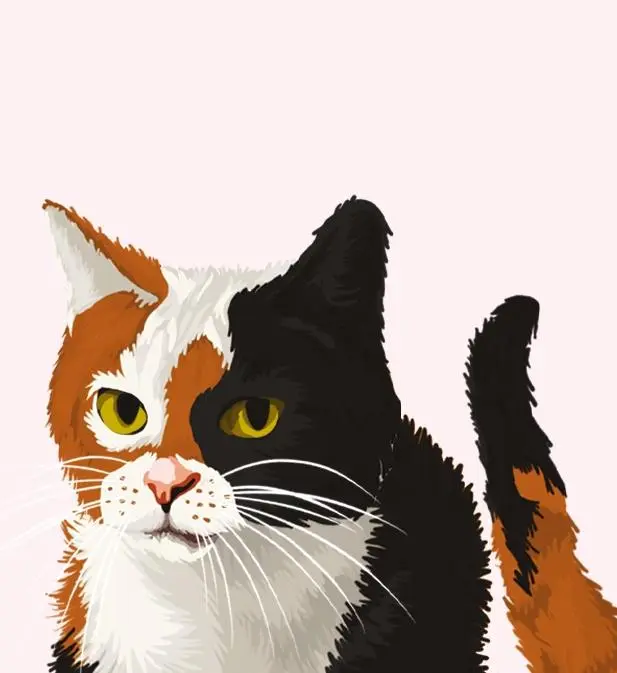 Autor: 9781529098068 | The Cat Who Solved Three Murders | L T Shearer | Taschenbuch | 336 S.
