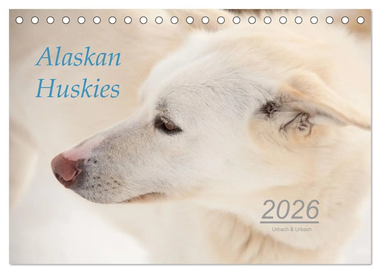 Cover: 9783457768068 | Alaskan Huskies (Tischkalender 2026 DIN A5 quer), CALVENDO...