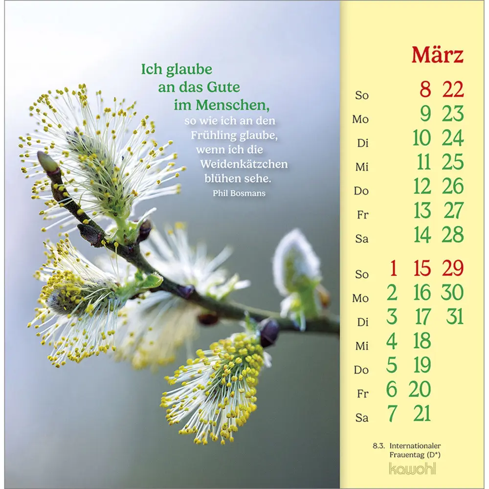 Bild: 9783754838068 | Phil Bosmans Postkartenkalender 2026 | Phil Bosmans | Kalender | 13 S.