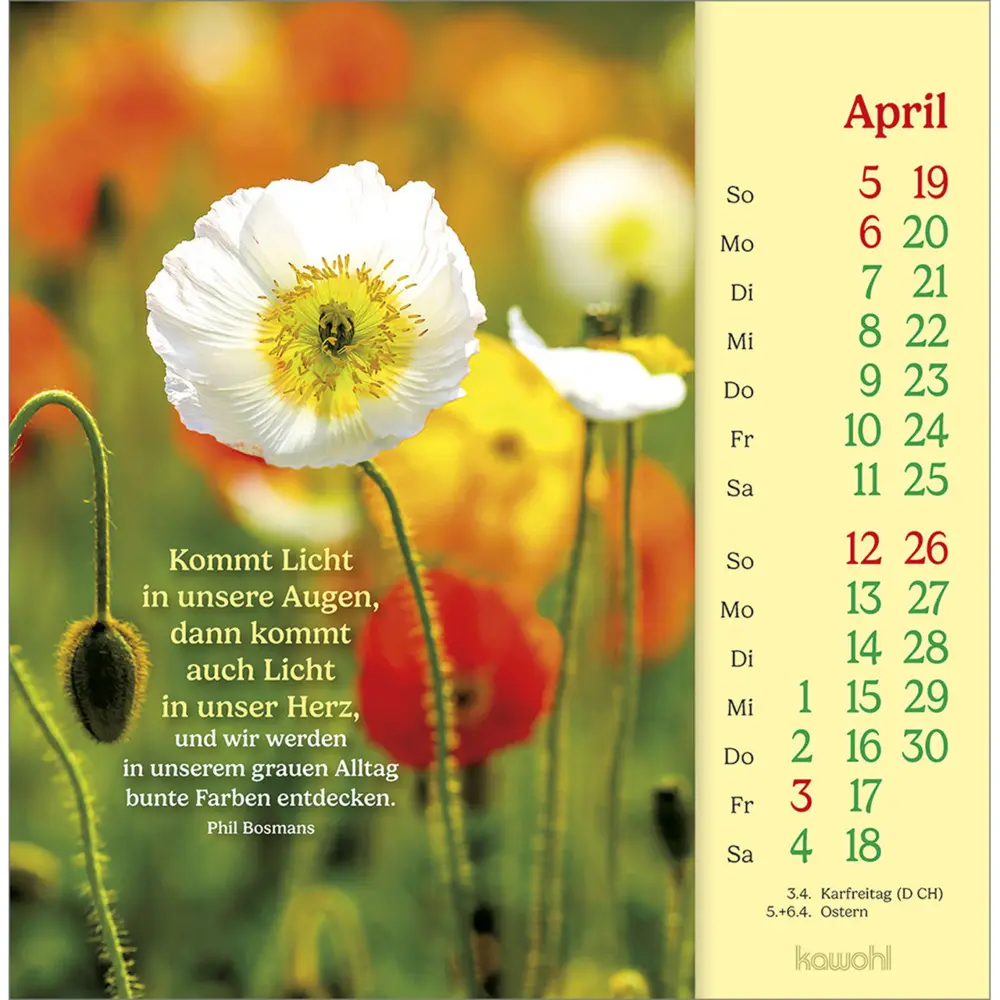 Bild: 9783754838068 | Phil Bosmans Postkartenkalender 2026 | Phil Bosmans | Kalender | 13 S.