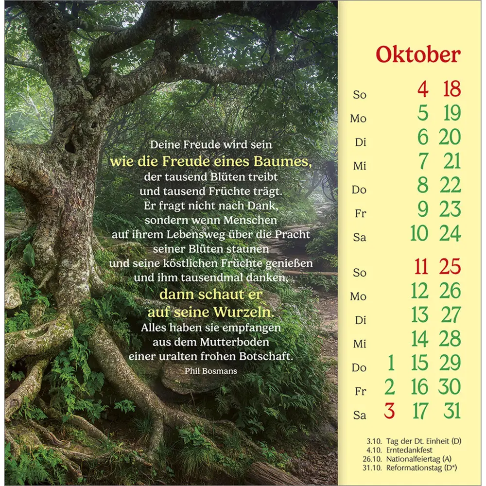 Bild: 9783754838068 | Phil Bosmans Postkartenkalender 2026 | Phil Bosmans | Kalender | 13 S.