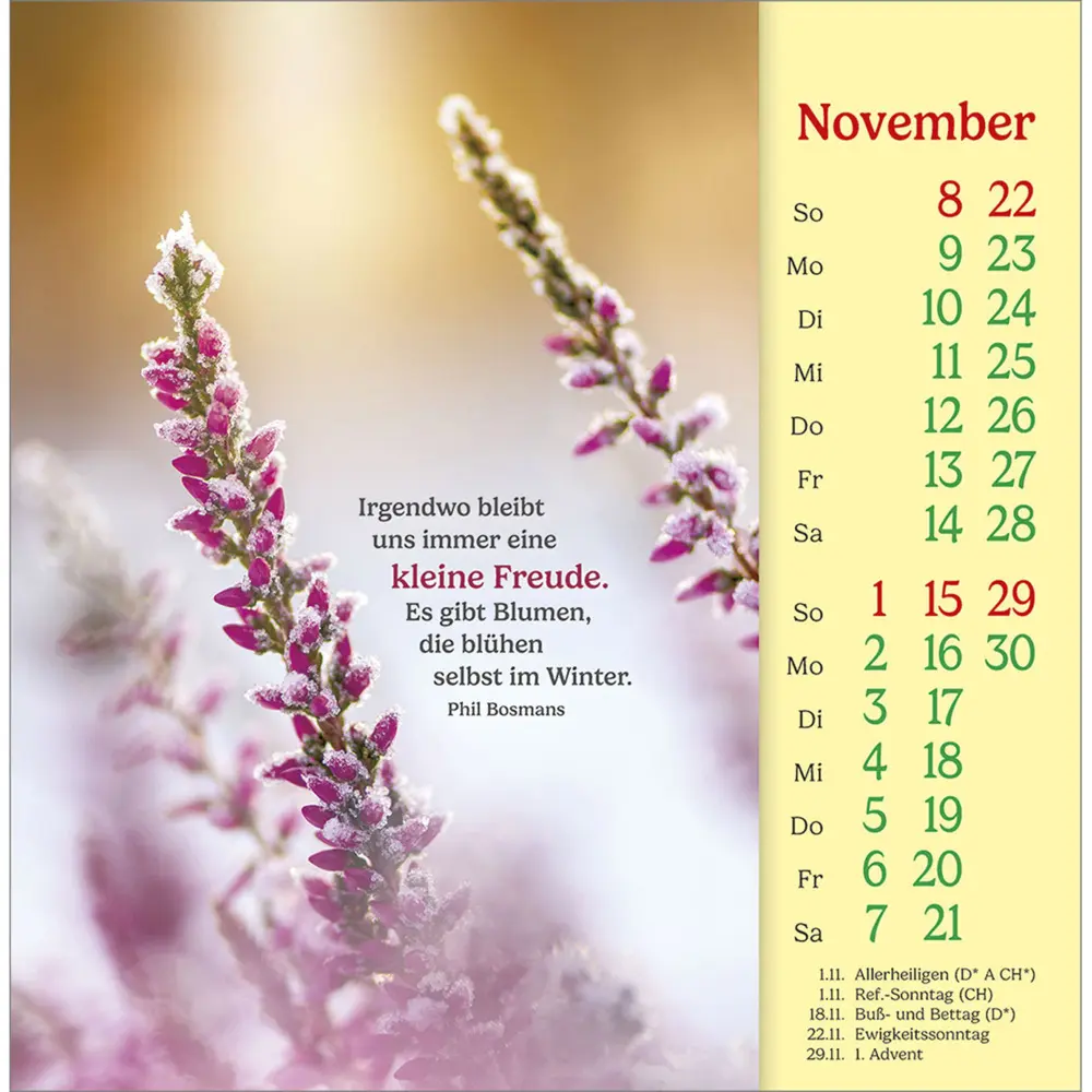 Bild: 9783754838068 | Phil Bosmans Postkartenkalender 2026 | Phil Bosmans | Kalender | 13 S.