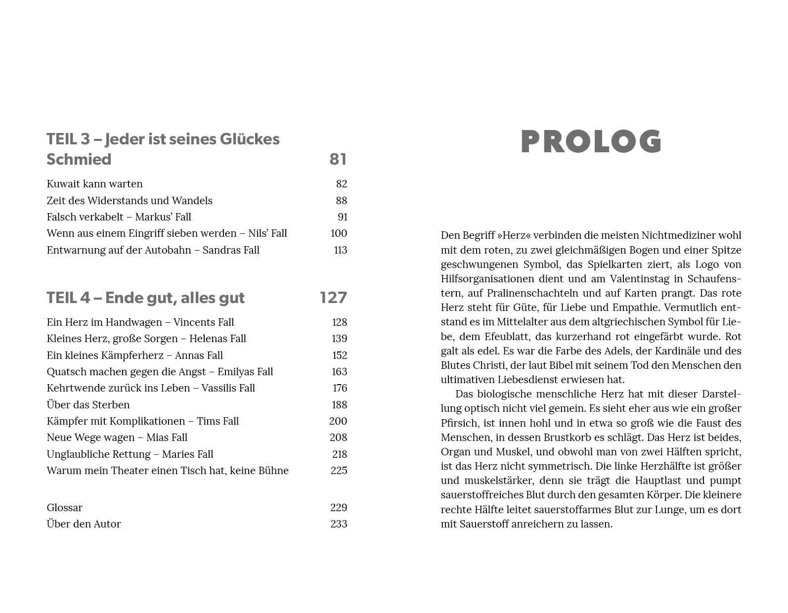 Bild: 9783742328168 | Herzensangelegenheit | Martin Kostelka | Buch | 240 S. | Deutsch