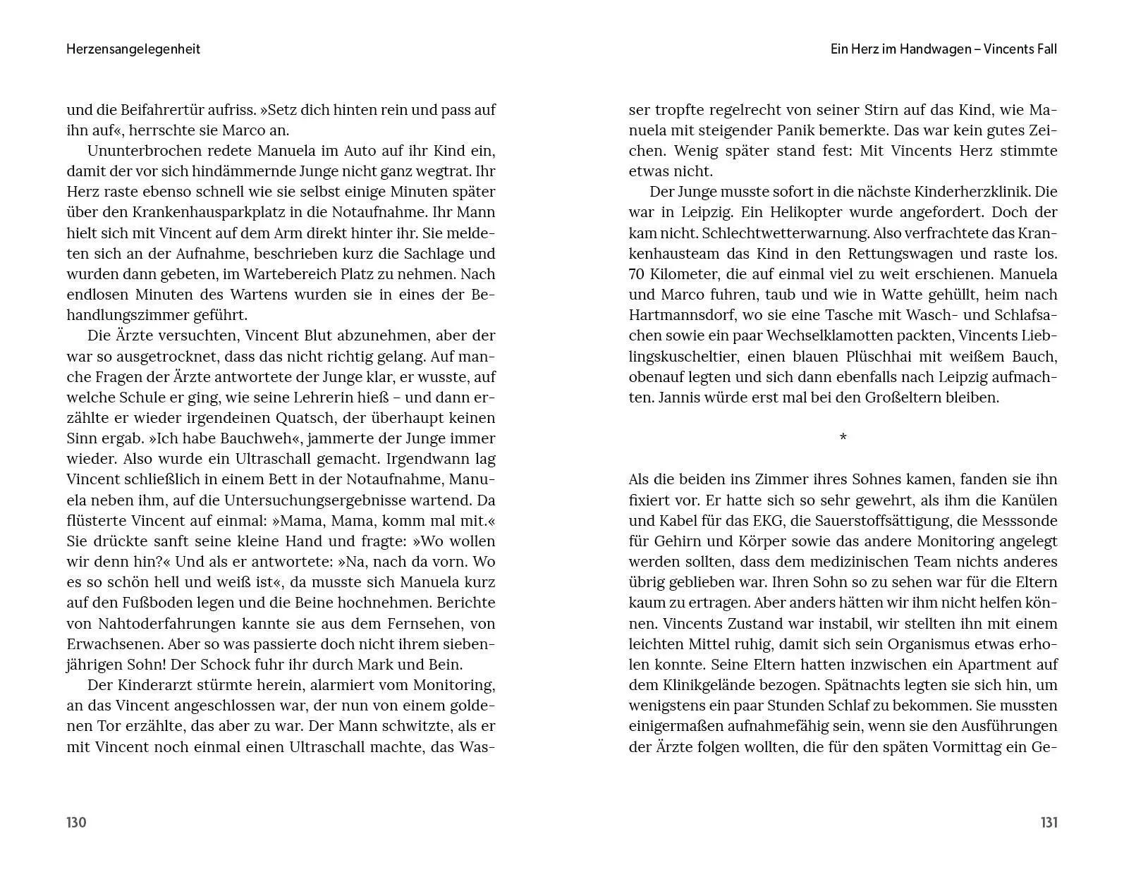 Bild: 9783742328168 | Herzensangelegenheit | Martin Kostelka | Buch | 240 S. | Deutsch