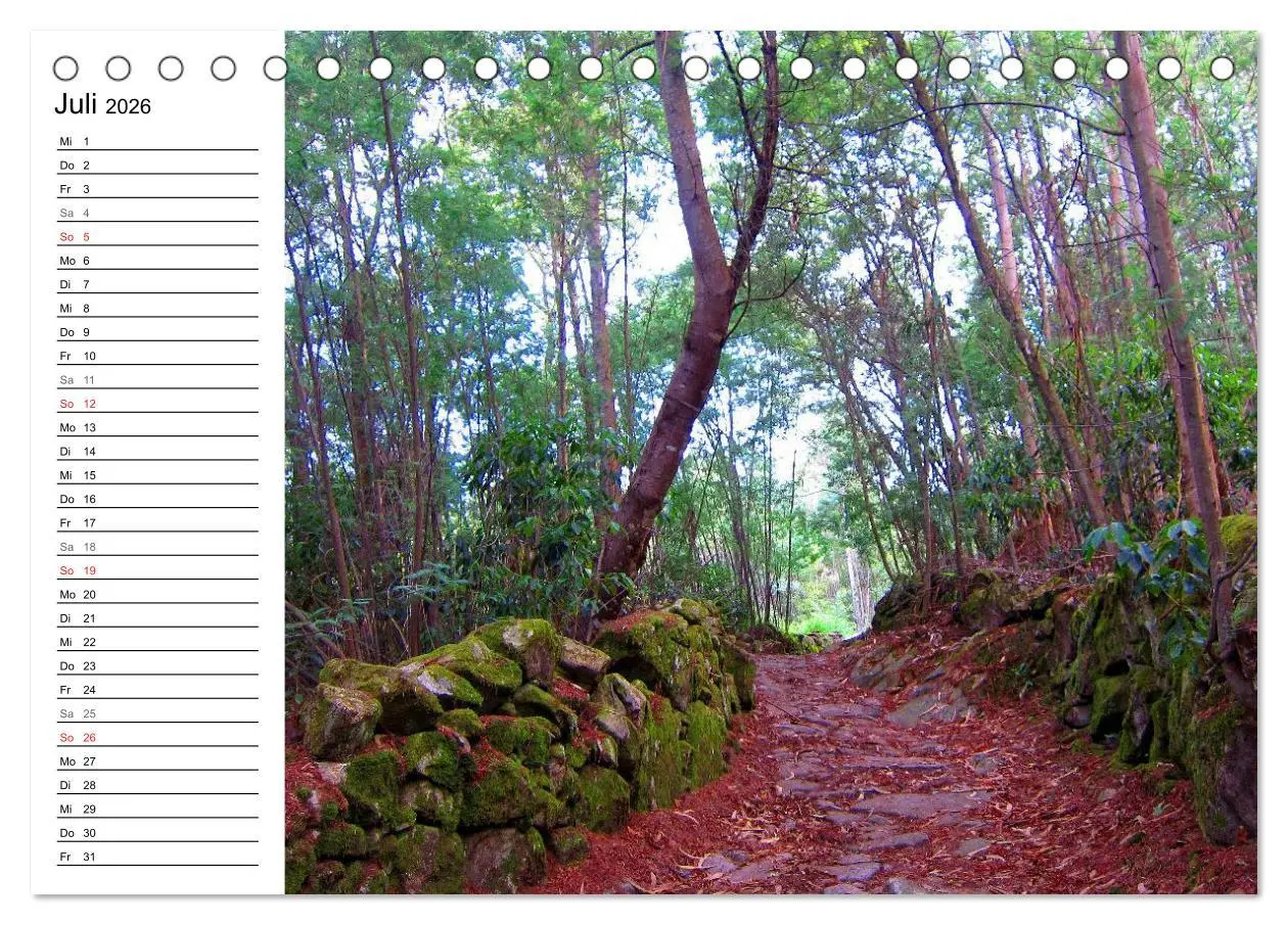 Bild: 9783457988268 | Jakobsweg - Camino Portugues (Tischkalender 2026 DIN A5 quer),...