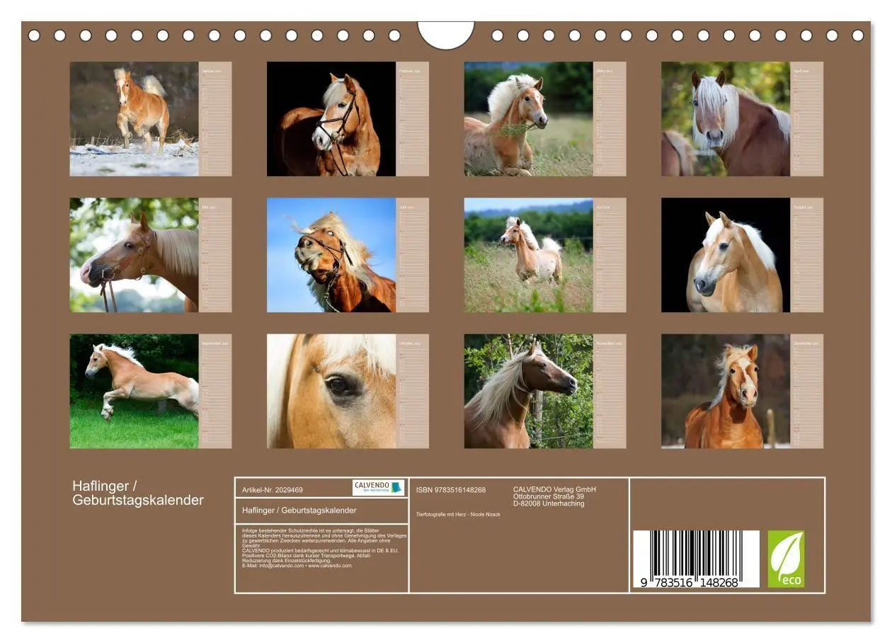 Bild: 9783516148268 | Haflinger / Geburtstagskalender (Wandkalender 2026 DIN A4 quer),...