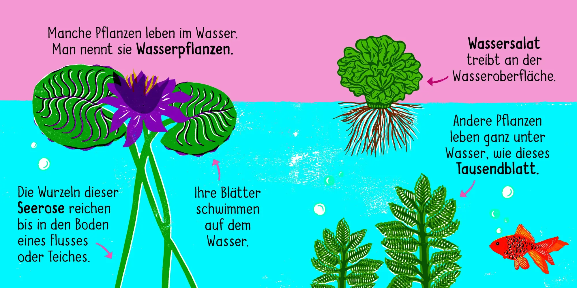 Bild: 9783411708468 | 50 Wörter über die Natur - Pflanzen | Tara Pegley-Stanger | Buch