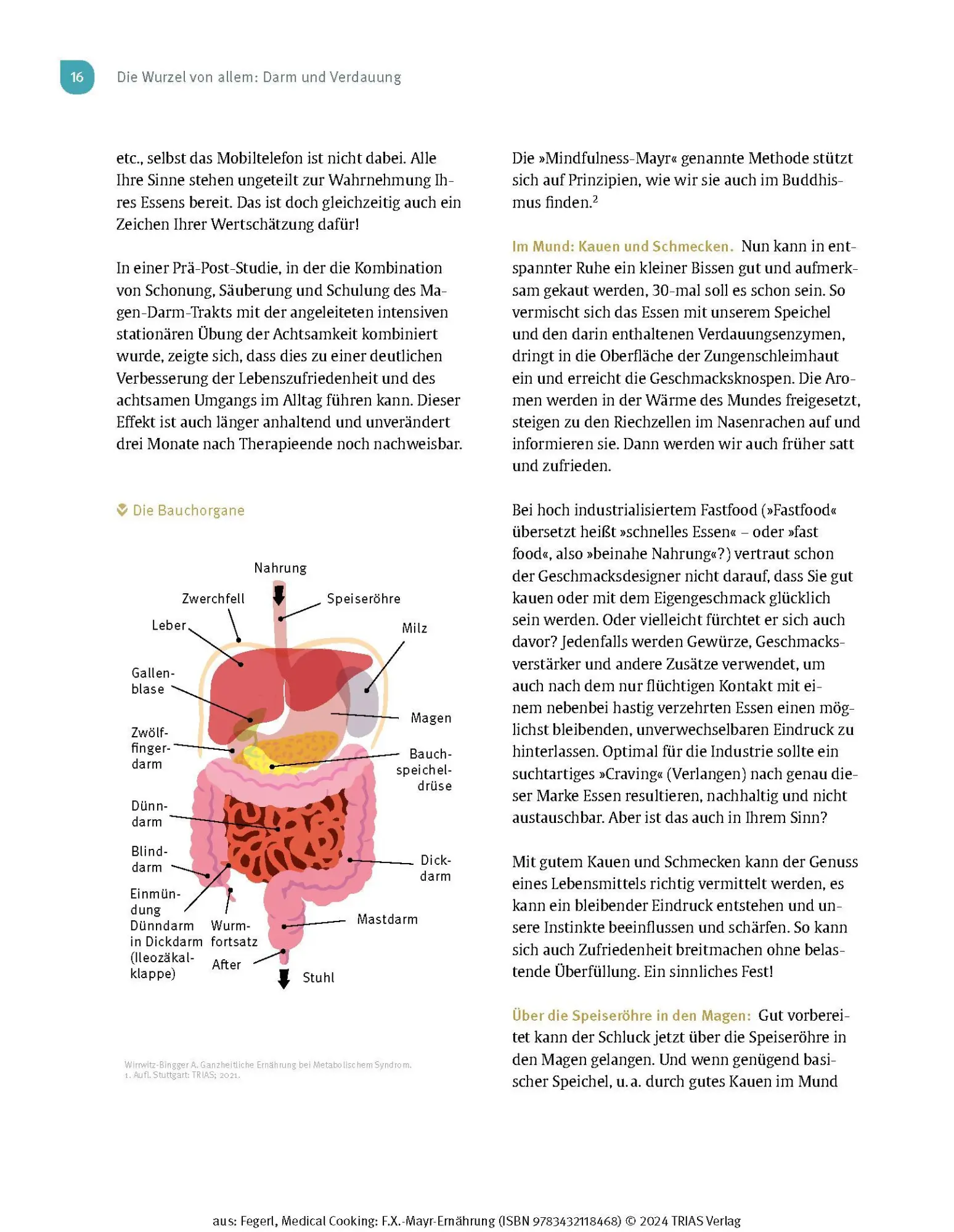 Bild: 9783432118468 | Medical Cooking: F.X. Mayr-Ernährung | Sepp Fegerl (u. a.) | Buch