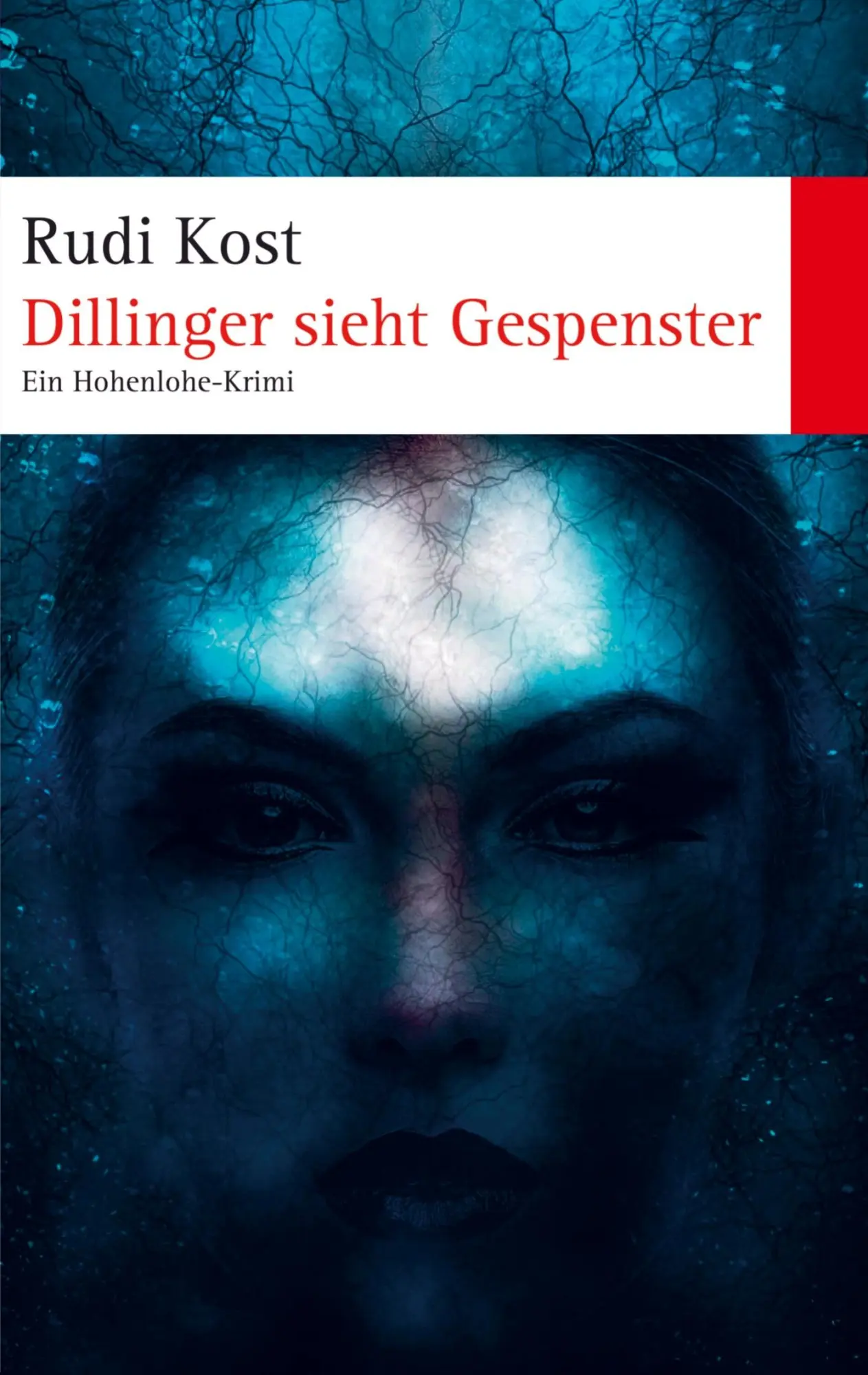 Cover: 9789403808468 | Dillinger sieht Gepenster | Dillinger ermittelt in Hohenlohe | Kost