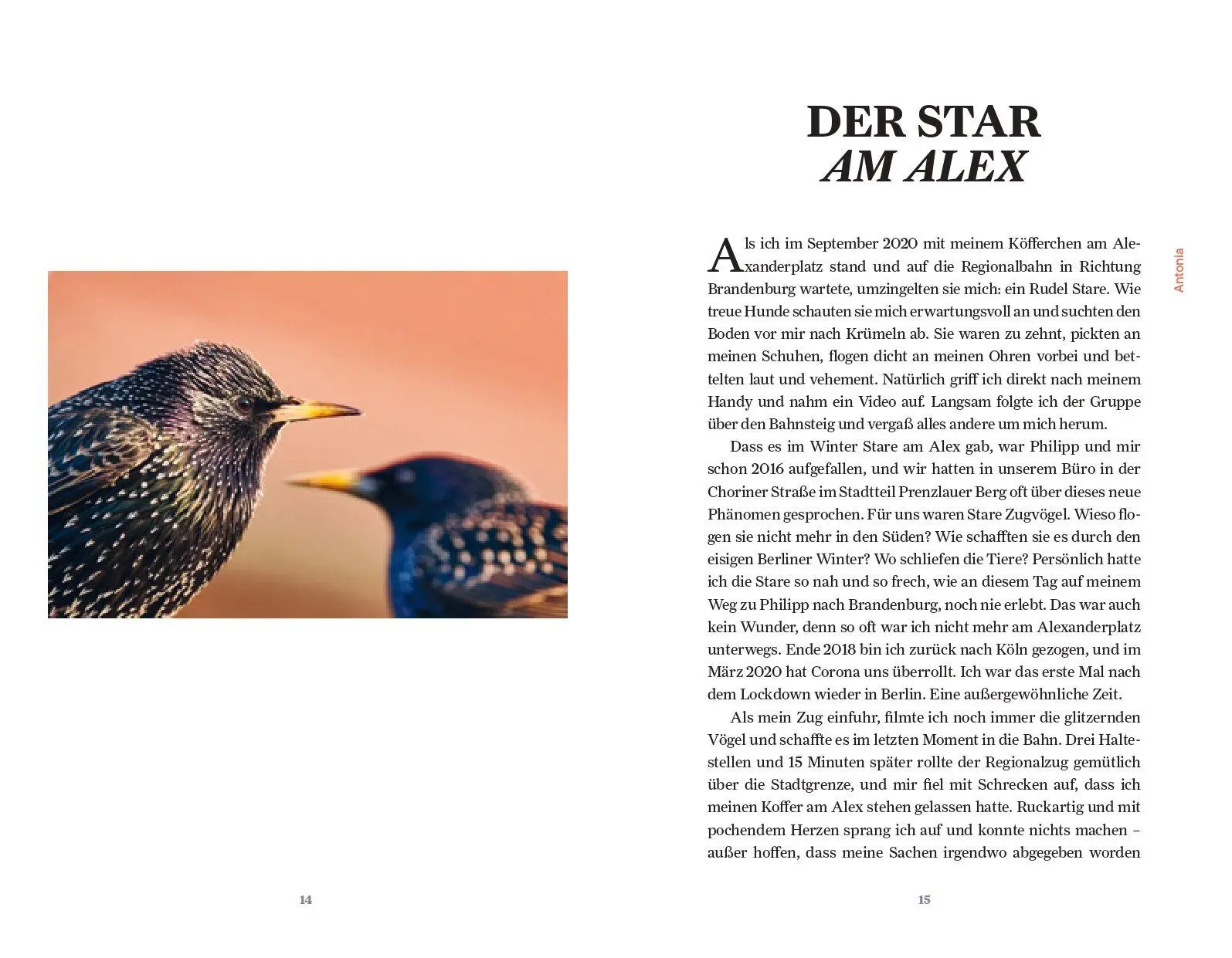 Bild: 9783710608568 | Unter Staren | Die Entdeckung einer unterschätzten Art | Buch | 224 S.