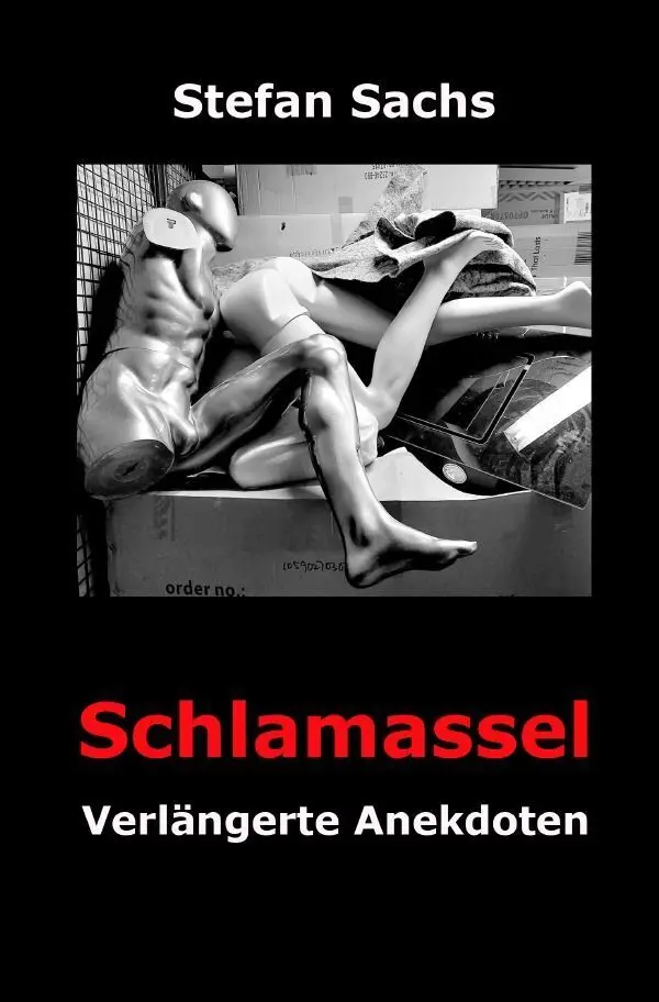 Cover: 9783565528868 | Schlamassel | Verlängerte Anekdoten | Stefan Sachs | Taschenbuch