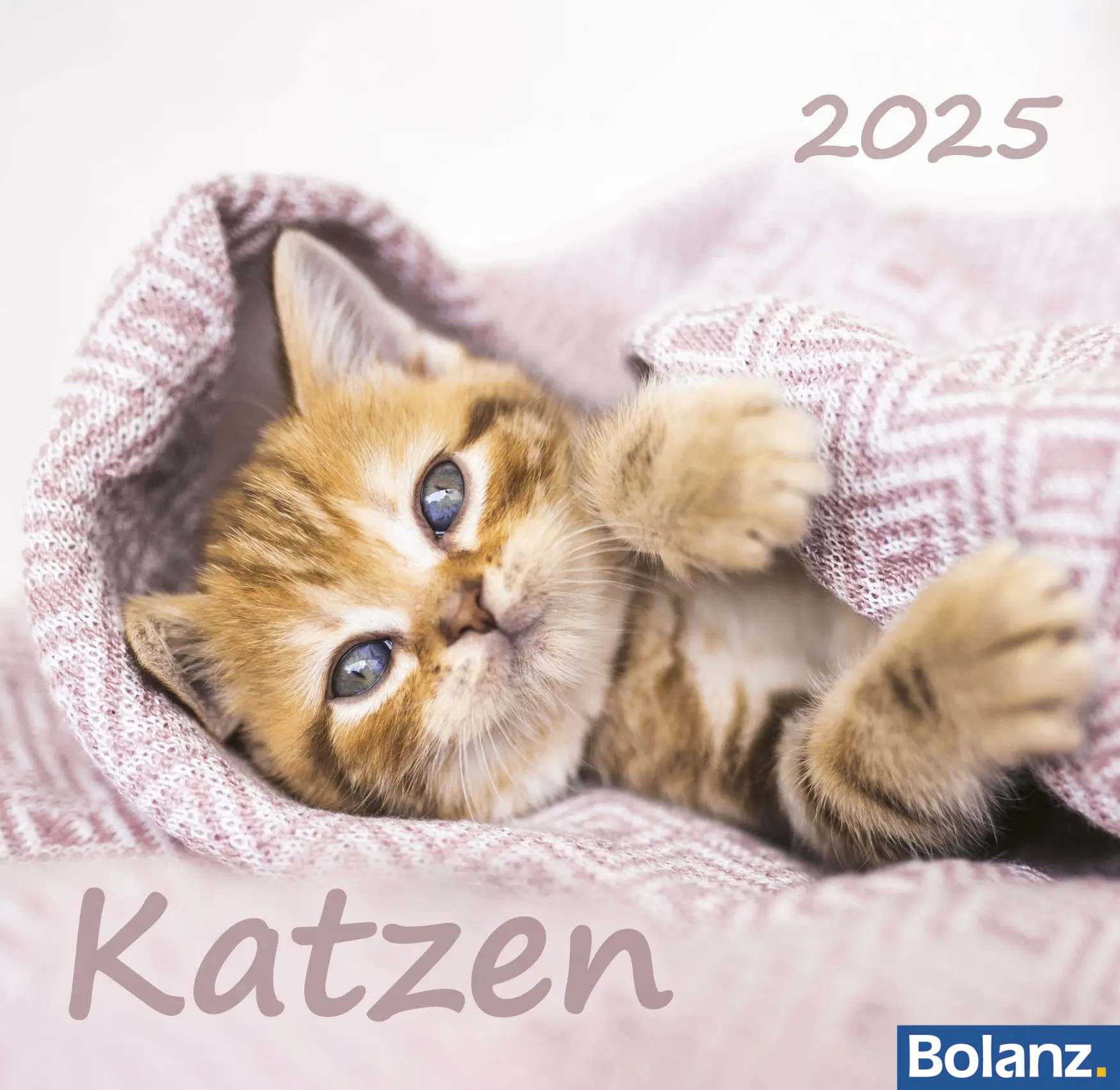 Cover: 9783866038868 | Katzen 2025 | Tischkalender | Sonstiges | Deutsch | 2025