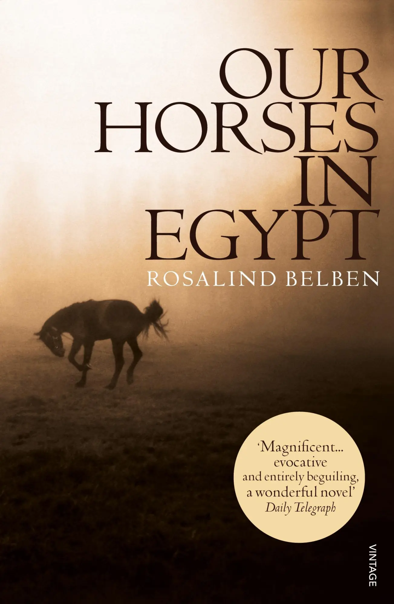 Cover: 9780099458968 | Our Horses in Egypt | Rosalind Belben | Taschenbuch | Englisch | 2008