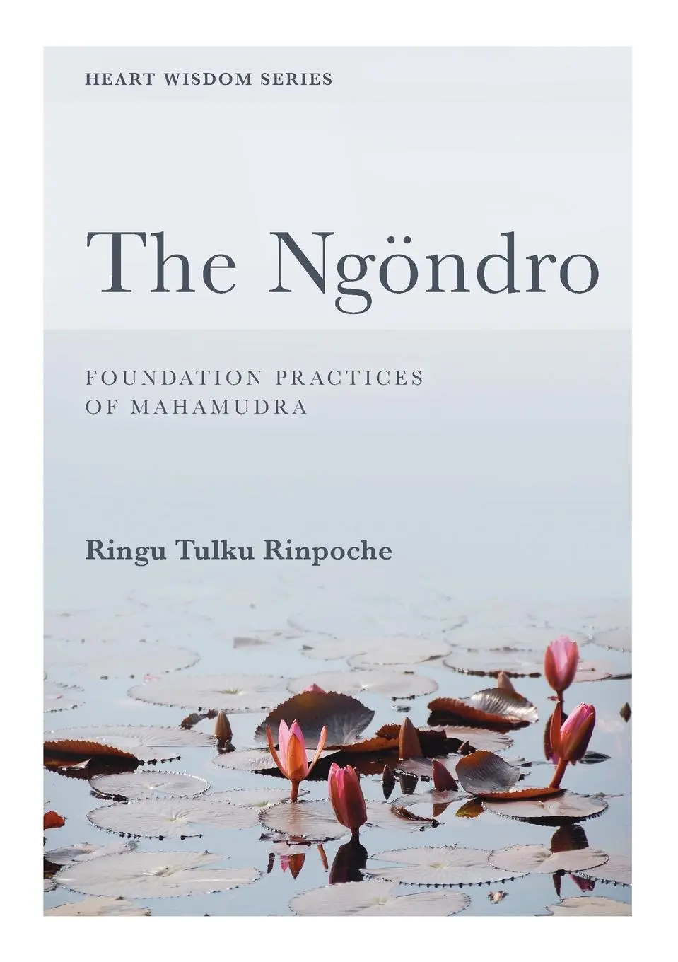 Cover: 9780953448968 | The Ngöndro | Foundation practices of Mahamudra | Ringu Tulku | Buch
