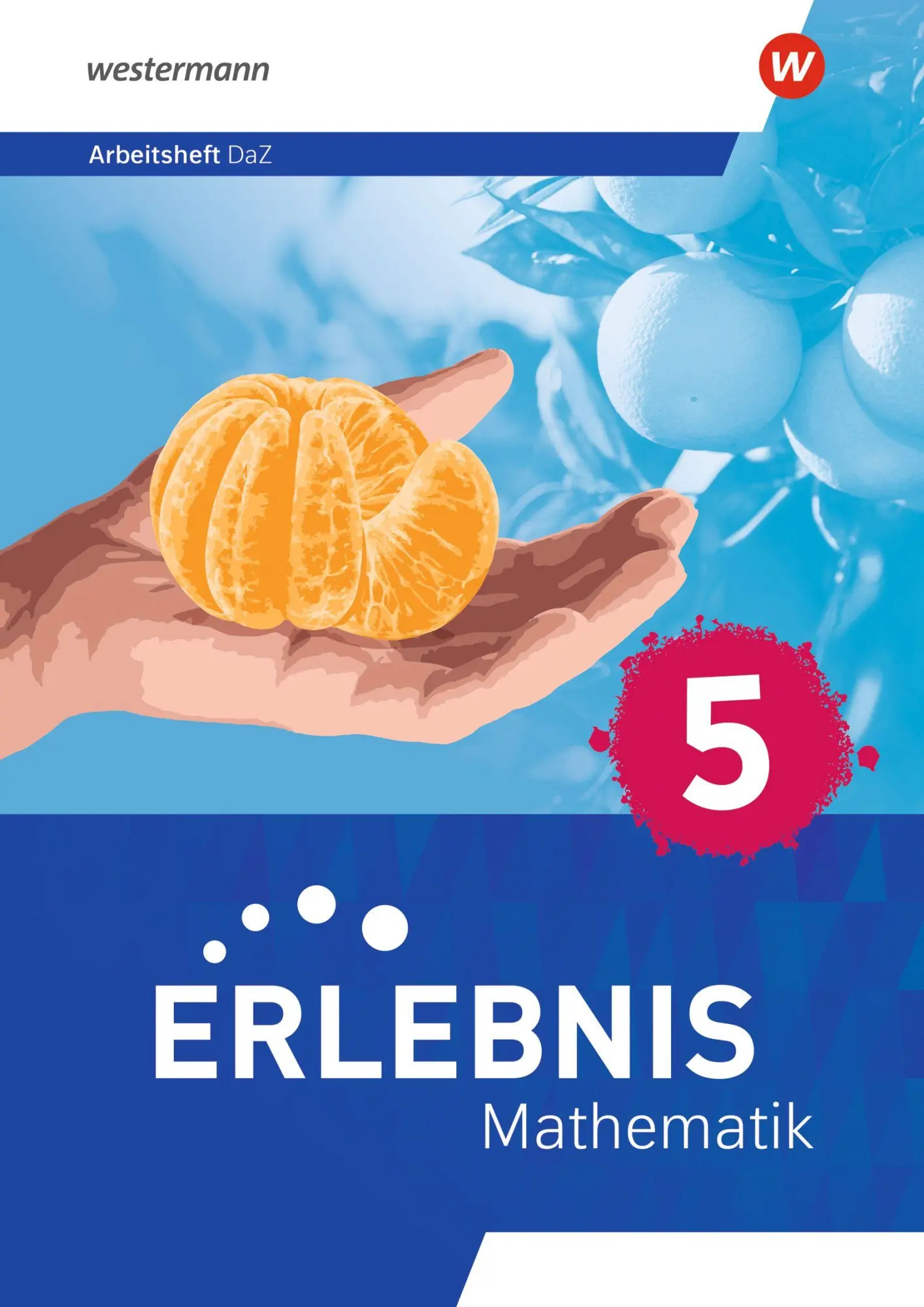 Cover: 9783141178968 | Erlebnis Mathematik. Arbeitsheft DaZ 5. Allgemeine Ausgabe | Broschüre