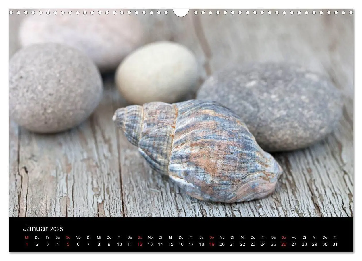 Bild: 9783435688968 | Strandgut und Meer 2025 (Wandkalender 2025 DIN A3 quer), CALVENDO...
