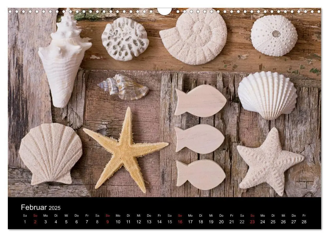 Bild: 9783435688968 | Strandgut und Meer 2025 (Wandkalender 2025 DIN A3 quer), CALVENDO...