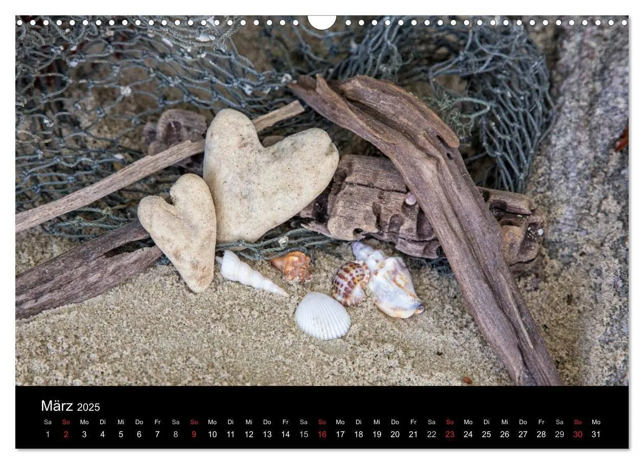 Bild: 9783435688968 | Strandgut und Meer 2025 (Wandkalender 2025 DIN A3 quer), CALVENDO...
