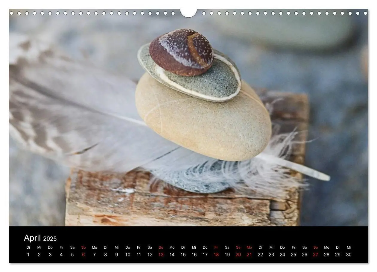 Bild: 9783435688968 | Strandgut und Meer 2025 (Wandkalender 2025 DIN A3 quer), CALVENDO...