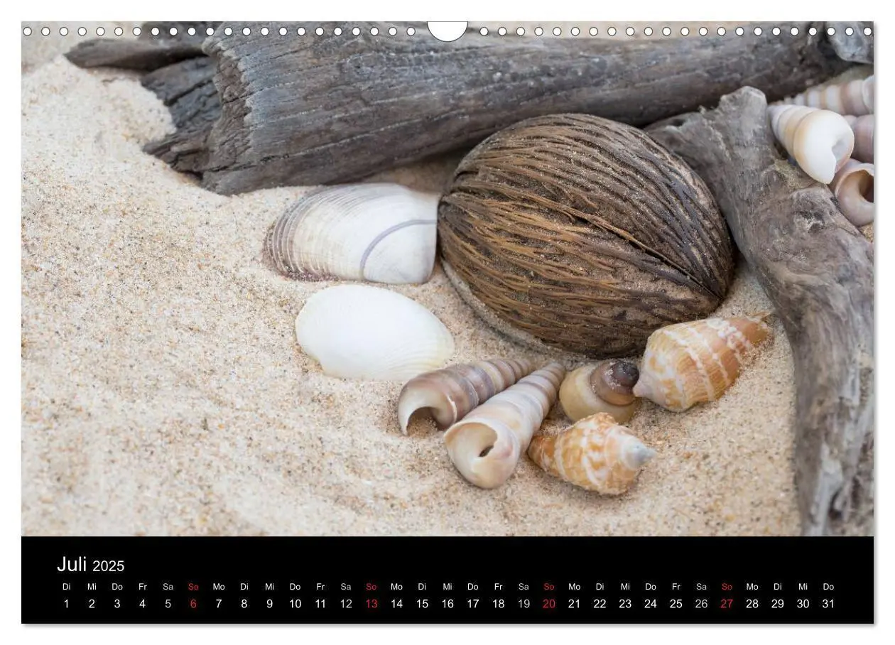 Bild: 9783435688968 | Strandgut und Meer 2025 (Wandkalender 2025 DIN A3 quer), CALVENDO...