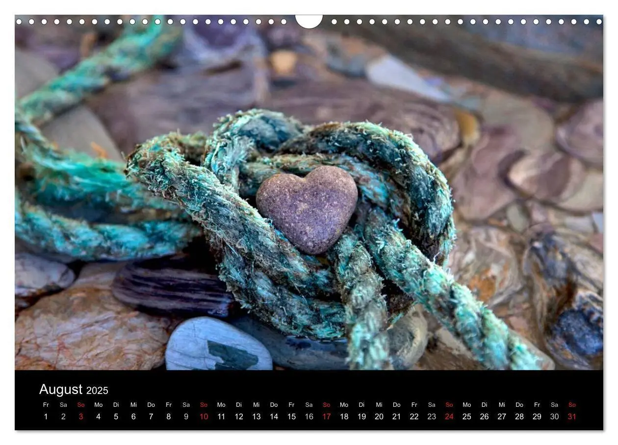 Bild: 9783435688968 | Strandgut und Meer 2025 (Wandkalender 2025 DIN A3 quer), CALVENDO...