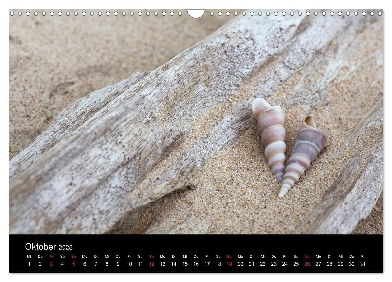 Bild: 9783435688968 | Strandgut und Meer 2025 (Wandkalender 2025 DIN A3 quer), CALVENDO...