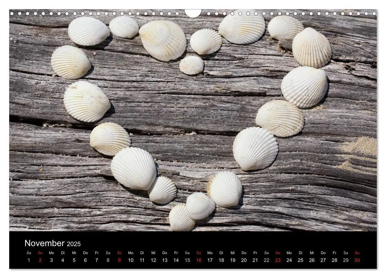 Bild: 9783435688968 | Strandgut und Meer 2025 (Wandkalender 2025 DIN A3 quer), CALVENDO...